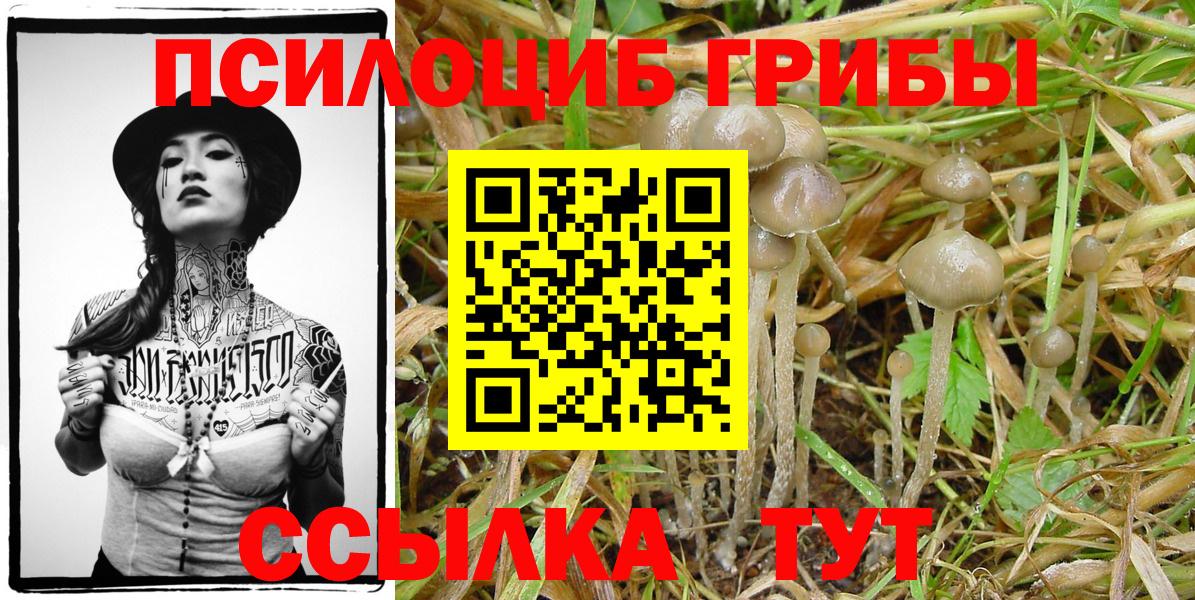 Галлюциногенные грибы GOLDEN TEACHER Азов